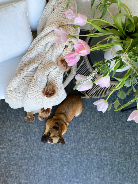 Tips for Finding Hypoallergenic Rugs
