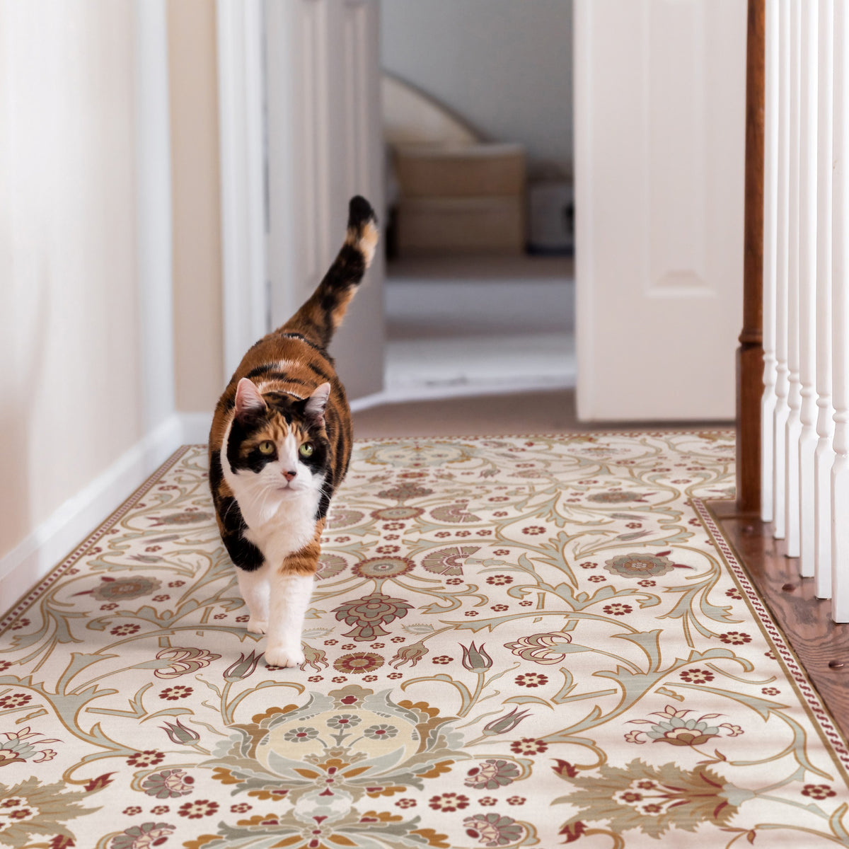 Flat Woven Rugs | Low Pile Dining Area Rugs