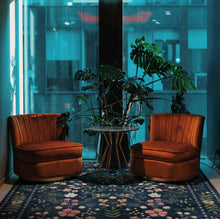 Load image into Gallery viewer, Celestia Vinyl Mat - VMAT