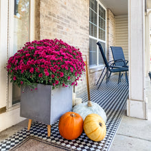 Load image into Gallery viewer, Dallas Vinyl Mat - VMAT