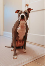 Load image into Gallery viewer, Eduard Comfort Mat - VMAT