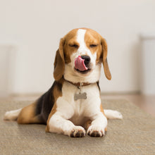 Load image into Gallery viewer, Jute Vinyl Mat - VMAT