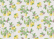 Load image into Gallery viewer, 13''x18'' lemon design placemat