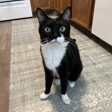 Load image into Gallery viewer, Andrea Vinyl Mat - VMAT