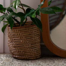 Load image into Gallery viewer, Potted plant in a woven basket on a surface with a blurred background
