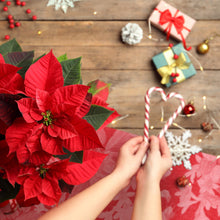 Load image into Gallery viewer, Pine Tableware - VMAT