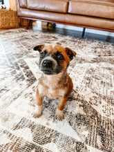 Load image into Gallery viewer, Ranch Vinyl Mat - Clearance - VMAT