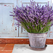 Load image into Gallery viewer, Sparrow Vinyl Mat - VMAT