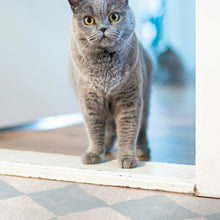 Load image into Gallery viewer, Travel Vinyl Mat - Clearance - VMAT