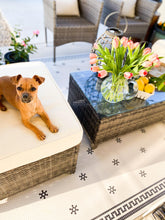 Load image into Gallery viewer, Ski Vinyl Mat - Clearance - VMAT