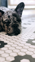 Load image into Gallery viewer, Zara Vinyl Mat - VMAT
