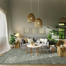 Load image into Gallery viewer, A styled living room featuring a large gray and white patterned area rug on a wood floor, with a gray sofa, two woven pendant lights, and potted plants.
