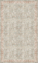 Load image into Gallery viewer, A rectangular area rug with an intricate distressed traditional pattern in muted tones of beige, gray, and soft terracotta.
