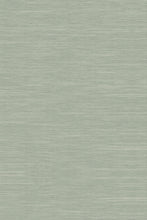 Load image into Gallery viewer, A close-up of a light sage green textured material with fine horizontal striations, filling the entire frame.
