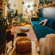 Cozy living room with teal sofa, plants, and a cat on a boho style rug 