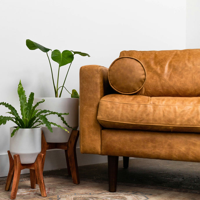 Brown leather sofa with decorative cushions in a room with plants and a rug.