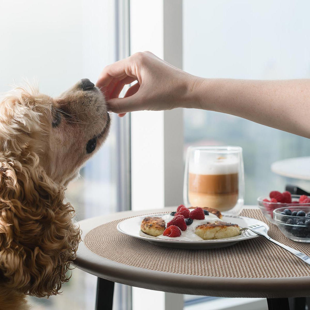 breakfast served on an elegant east to clean placemat