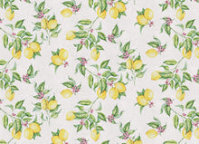 Load image into Gallery viewer, 13&#39;&#39;x18&#39;&#39; lemon design placemat
