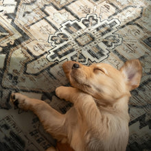 Load image into Gallery viewer, Dog lying on its back on a patterned farmhouse vinyl rug
