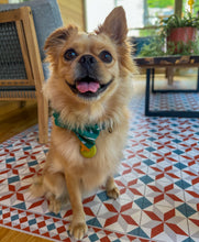 Load image into Gallery viewer, Benito Vinyl Mat - VMAT
