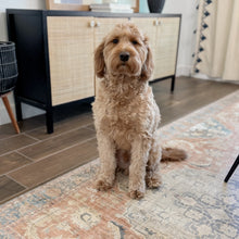 Load image into Gallery viewer, Manor Vinyl Mat
