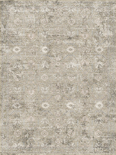 Patterned rug with a neutral color scheme on a plain background