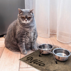 Personalized Floor Mat