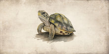 Load image into Gallery viewer, Turtle Vinyl Mat
