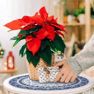 Red flower on a blue round placemat