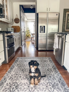 pet friendly kitchen floor mat